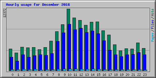 Hourly usage for December 2016