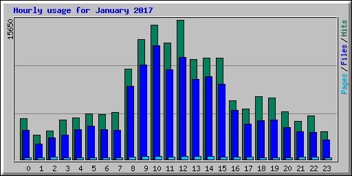 Hourly usage for January 2017